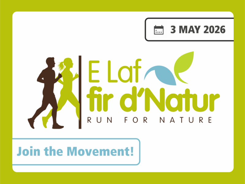 RunforNature_image featured2