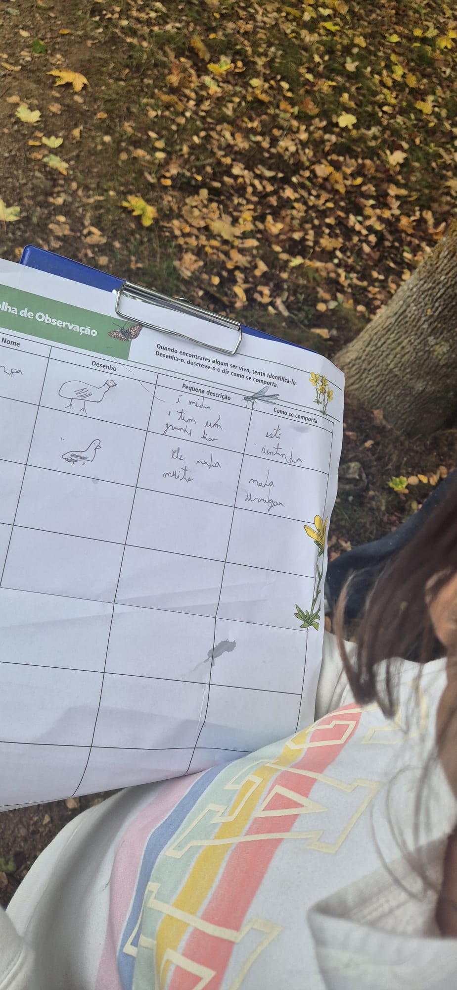 Observação do ecossistema local pelo P4PTA